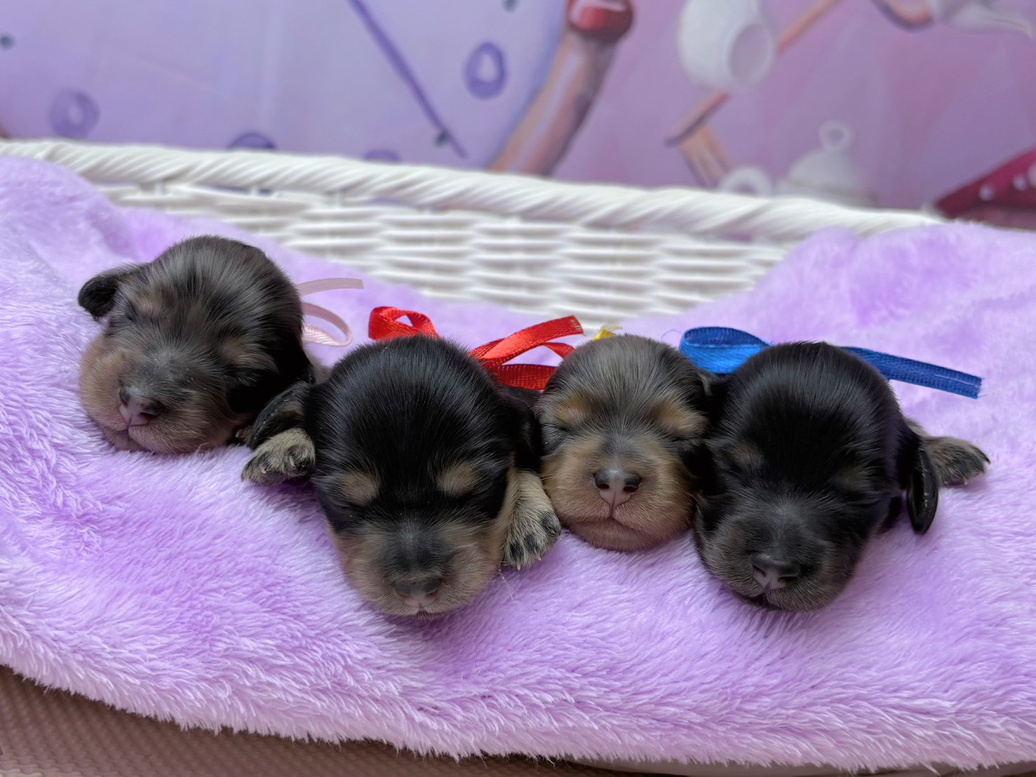 赤ちゃん写真1-3
