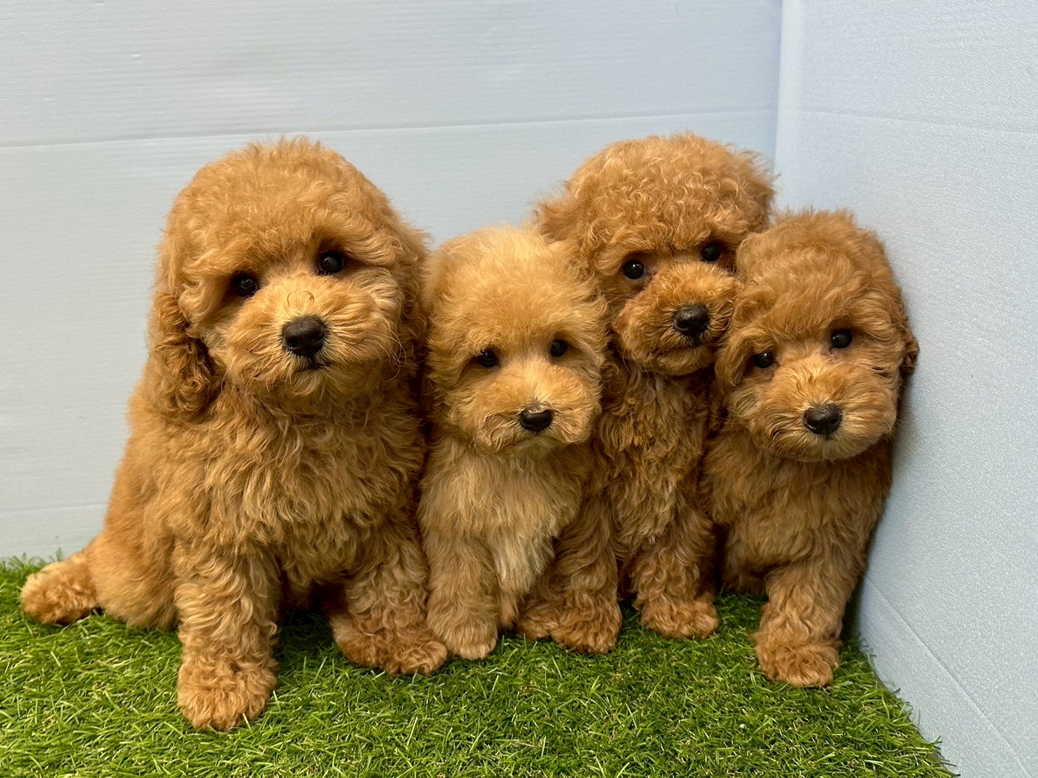 赤ちゃん写真3-3