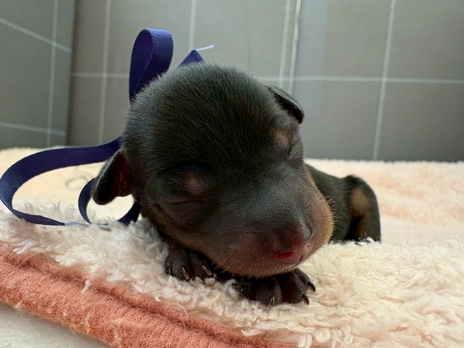 赤ちゃん写真1-1