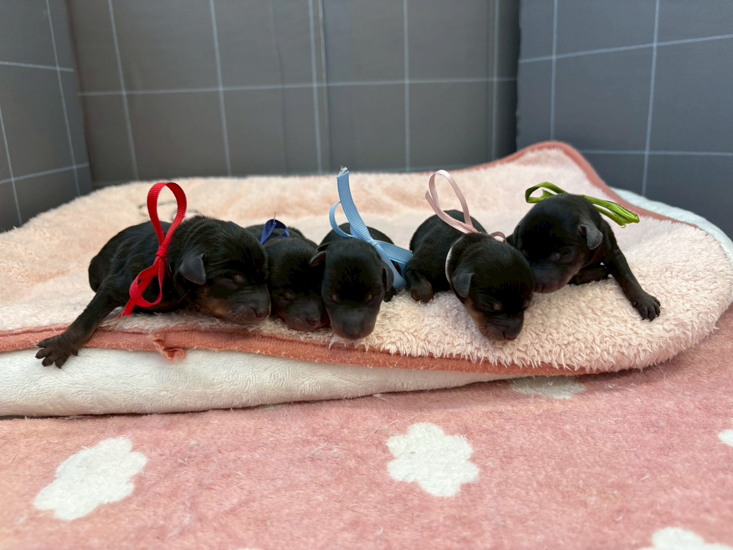 赤ちゃん写真1-3