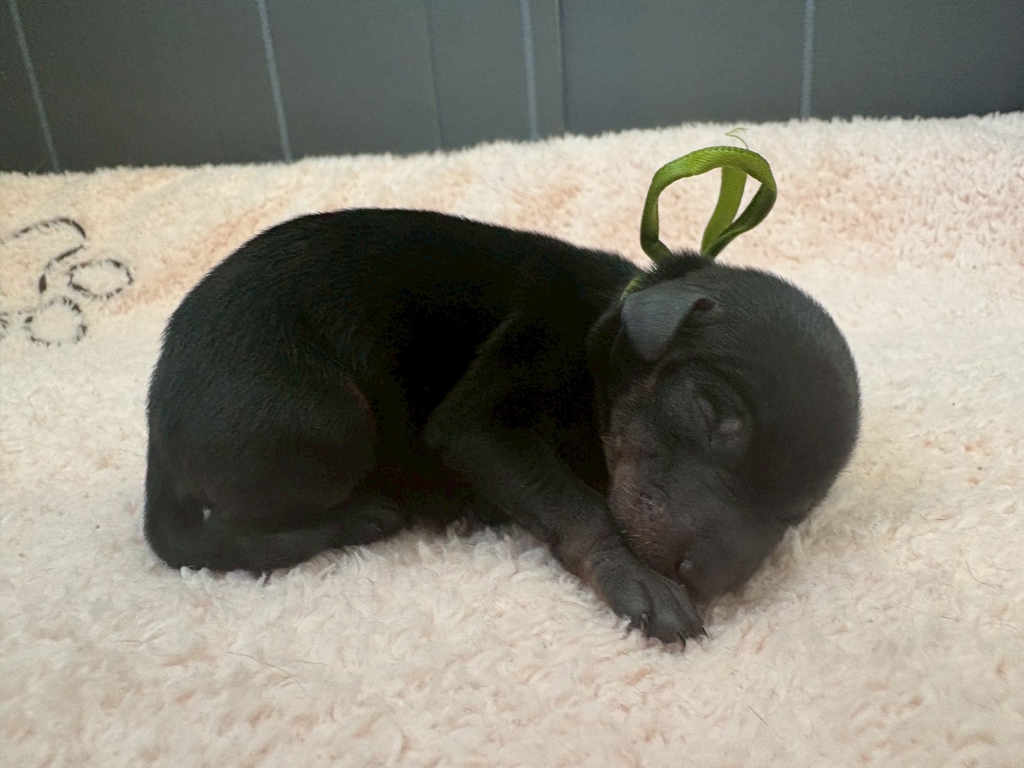 赤ちゃん写真1-2