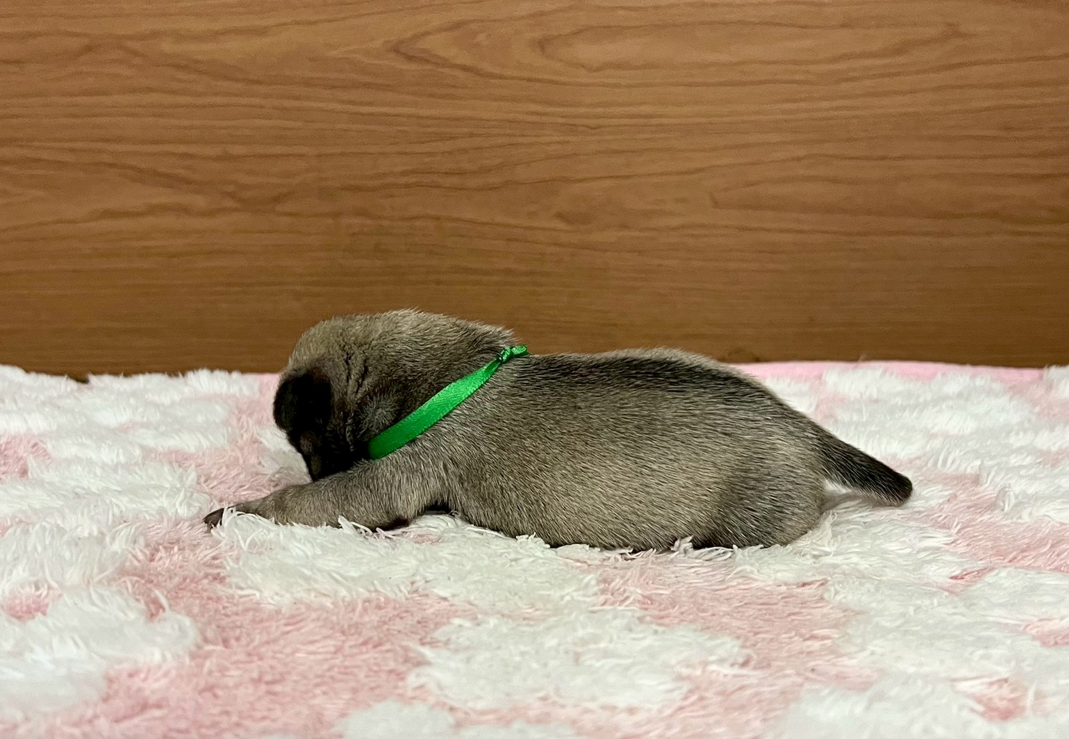 赤ちゃん写真1-2