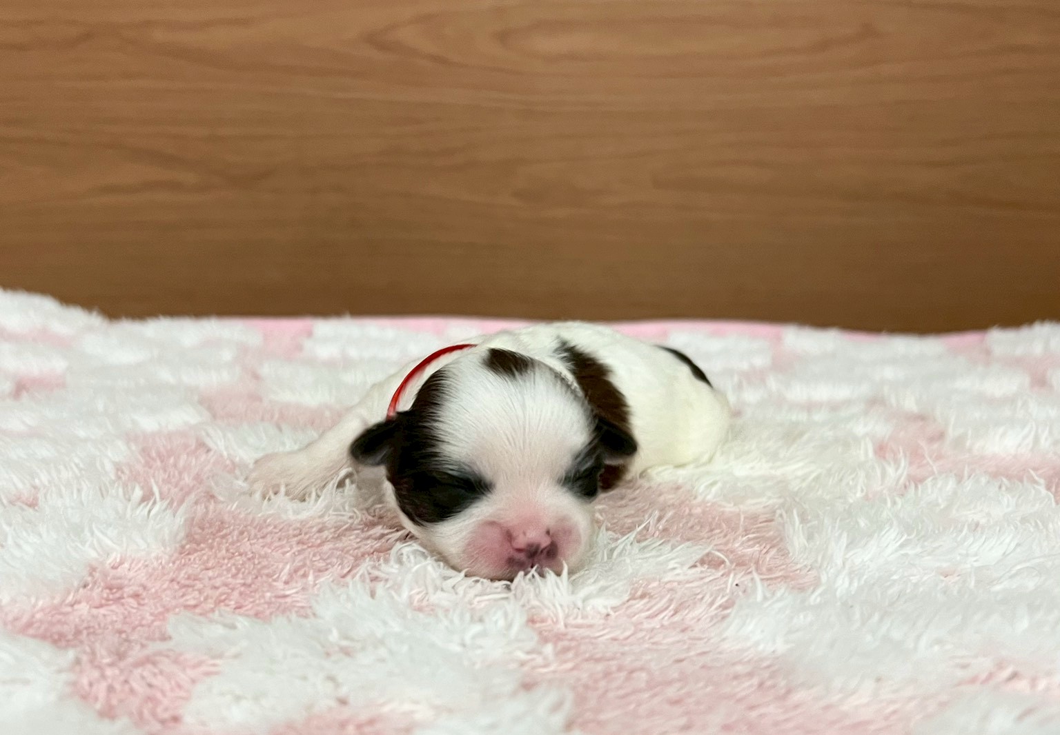 赤ちゃん写真1-1