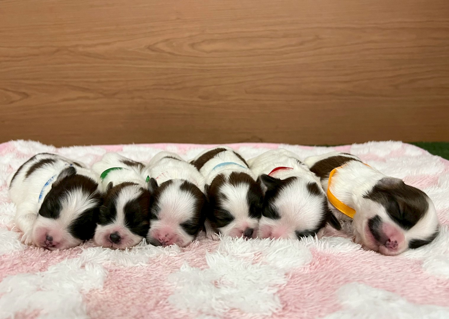 赤ちゃん写真1-3