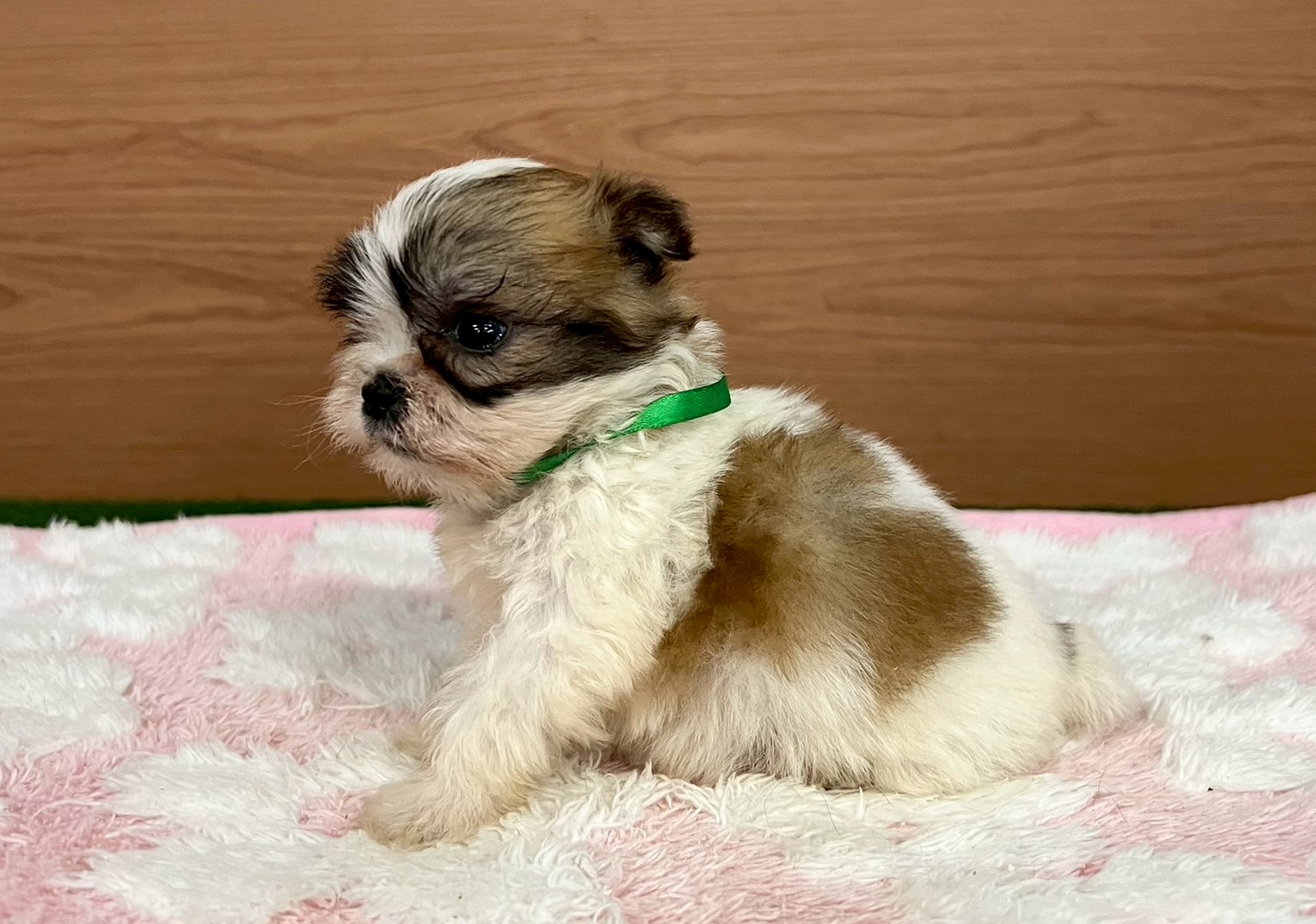 赤ちゃん写真2-2