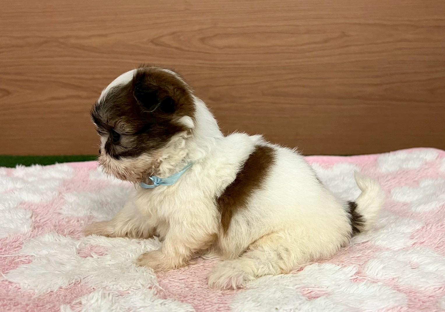 赤ちゃん写真2-2