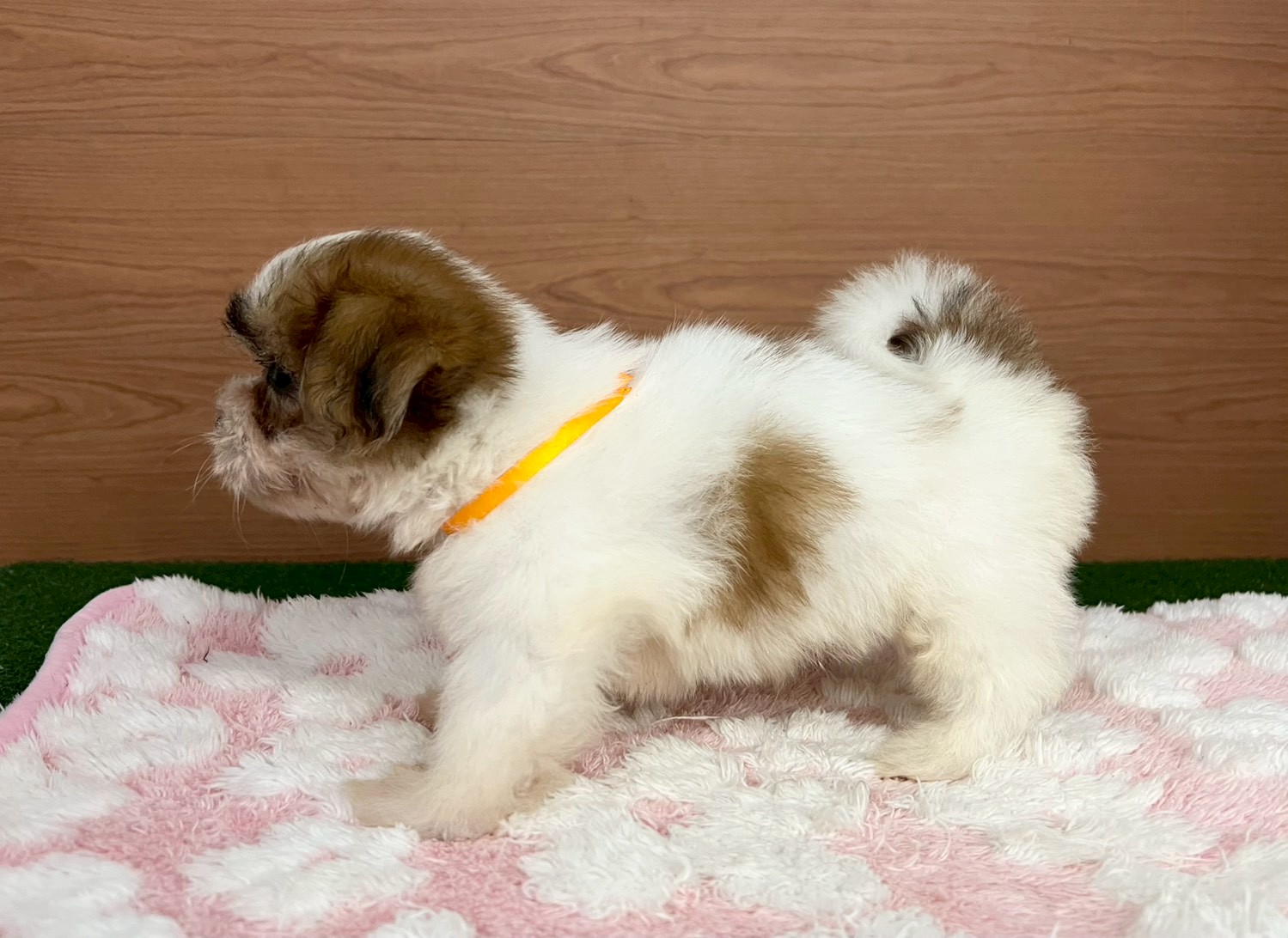 赤ちゃん写真3-2