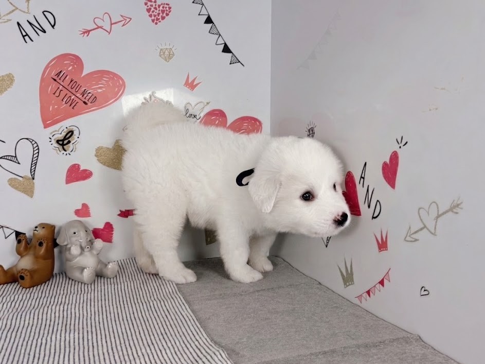 赤ちゃん写真3-2