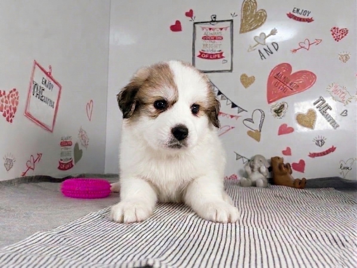 赤ちゃん写真3-1