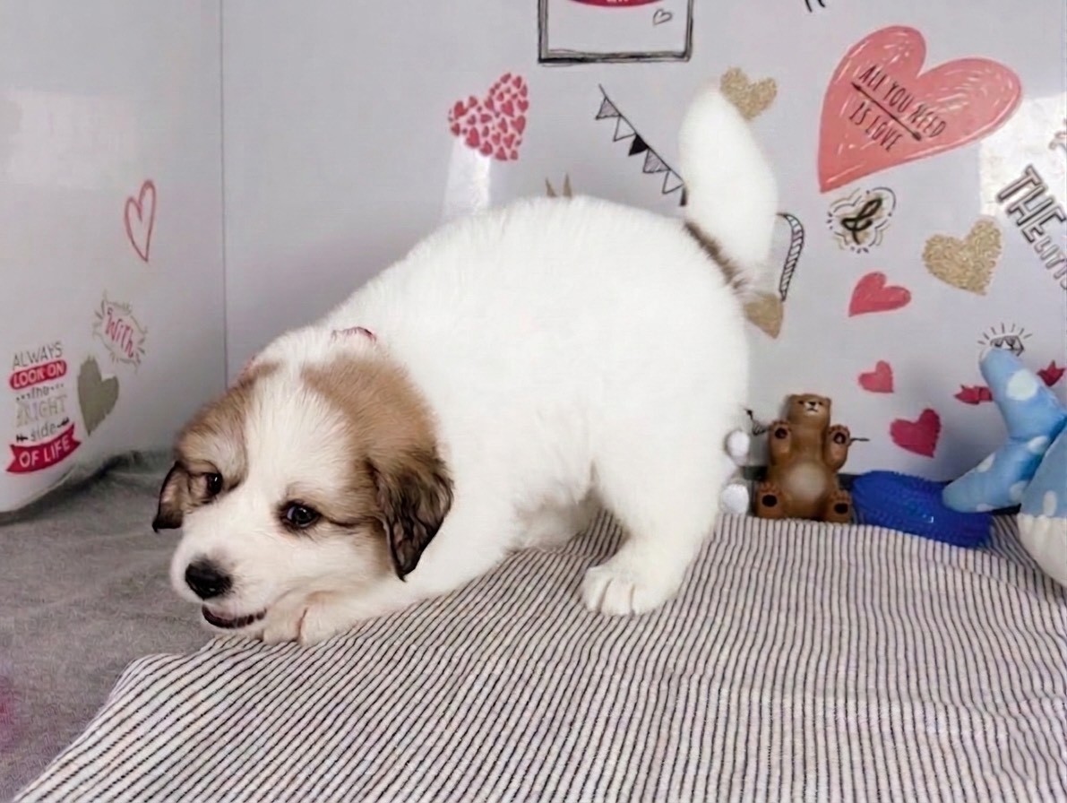 赤ちゃん写真3-2