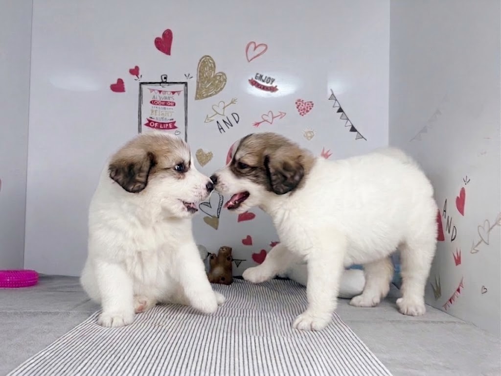赤ちゃん写真3-3