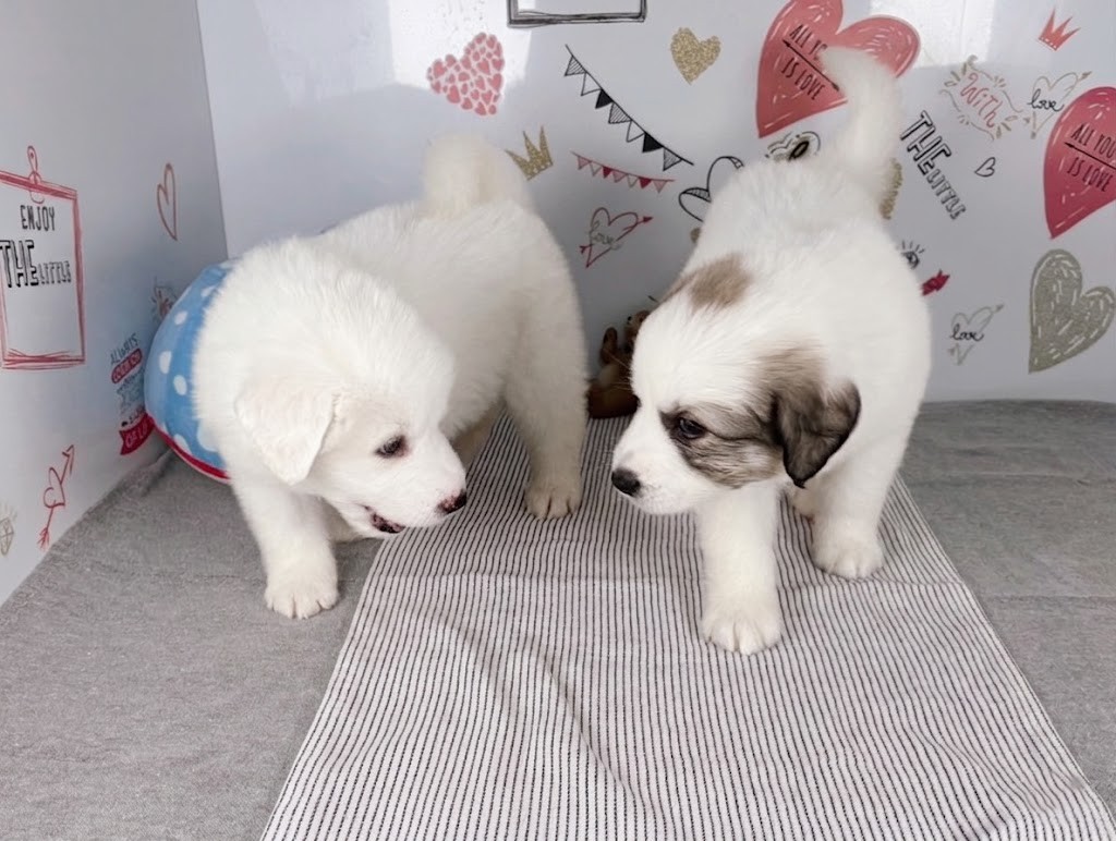 赤ちゃん写真3-3