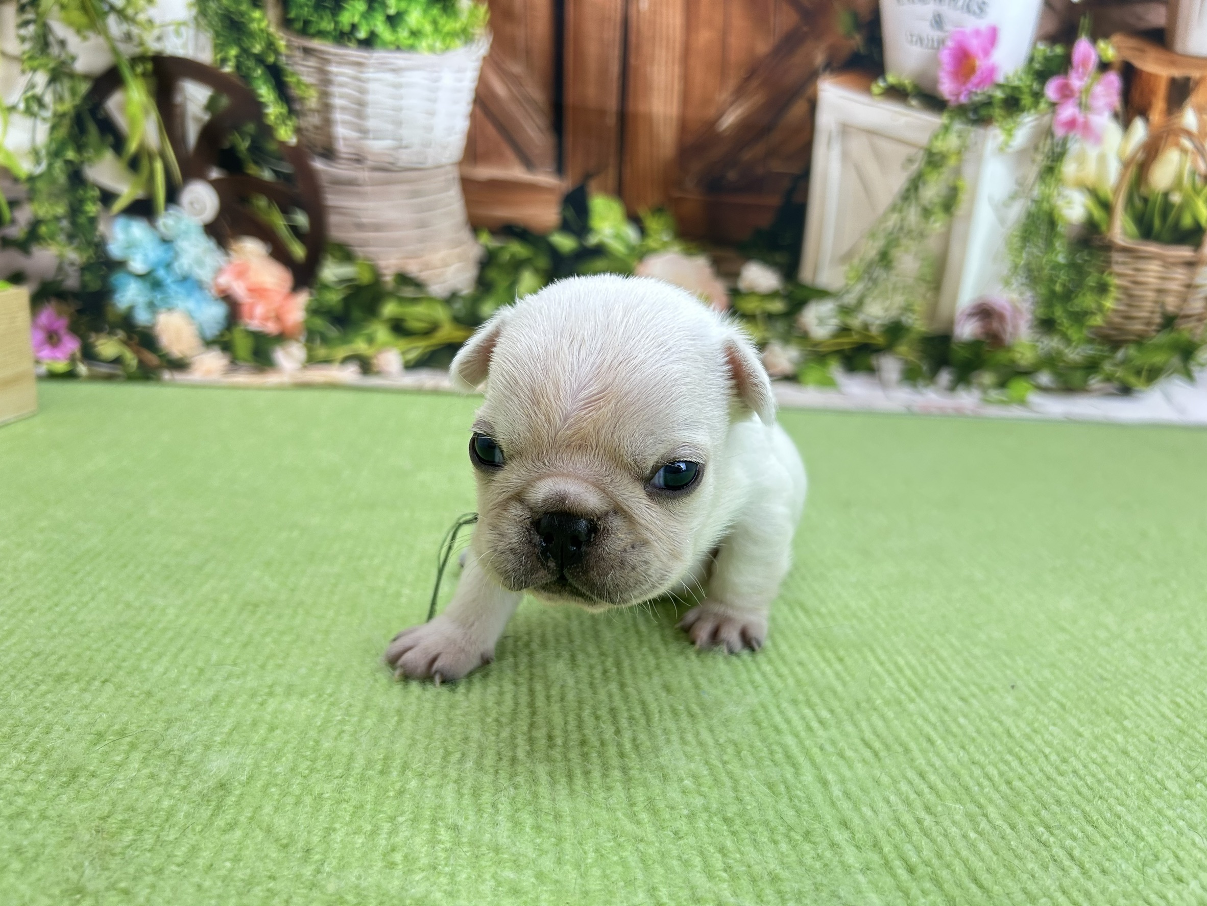 赤ちゃん写真1-1