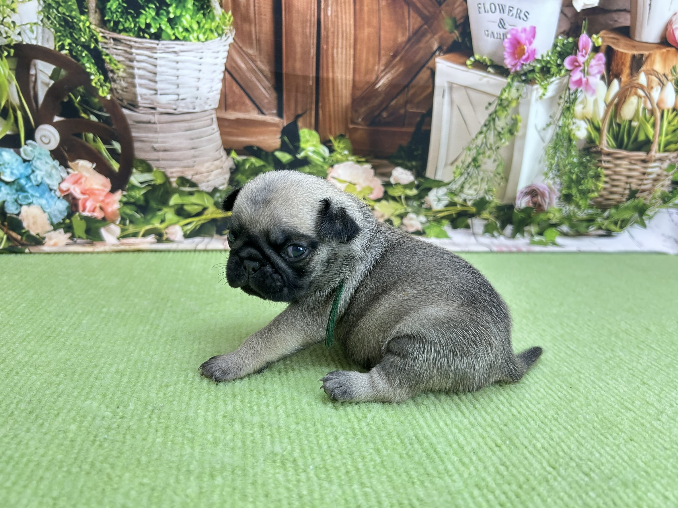 赤ちゃん写真1-2