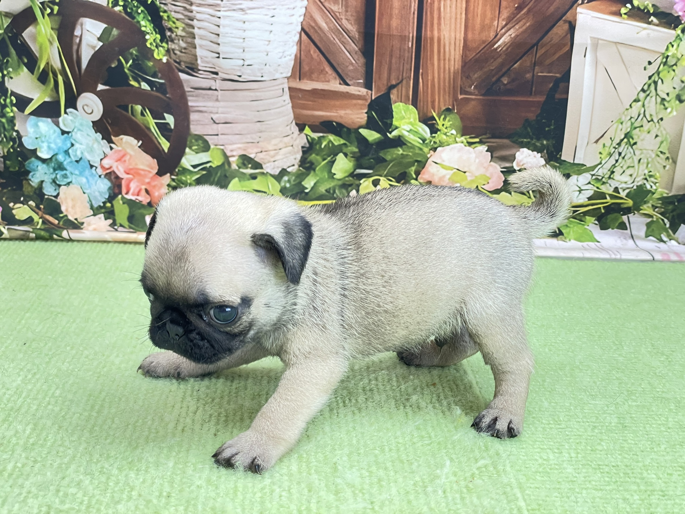 赤ちゃん写真2-2