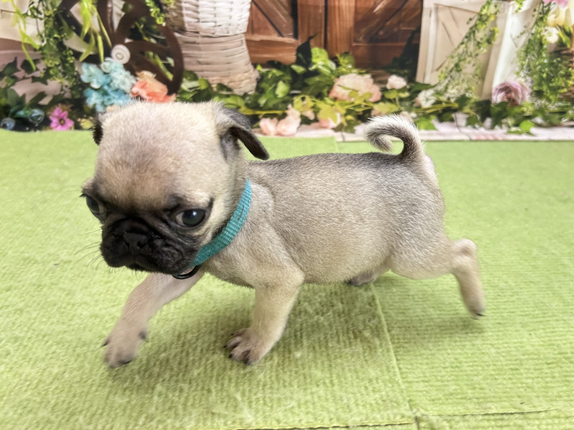 赤ちゃん写真3-2