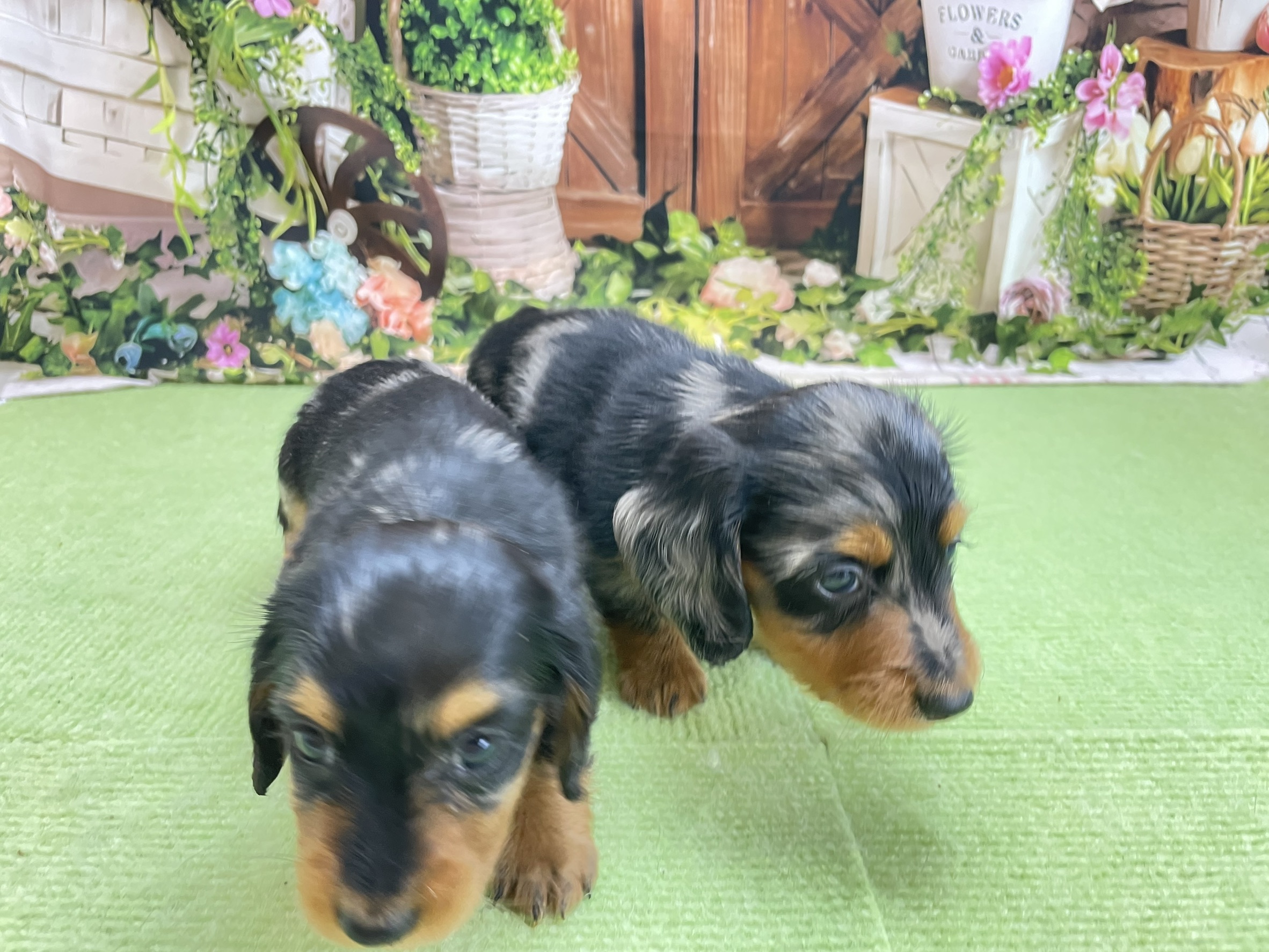 赤ちゃん写真2-3