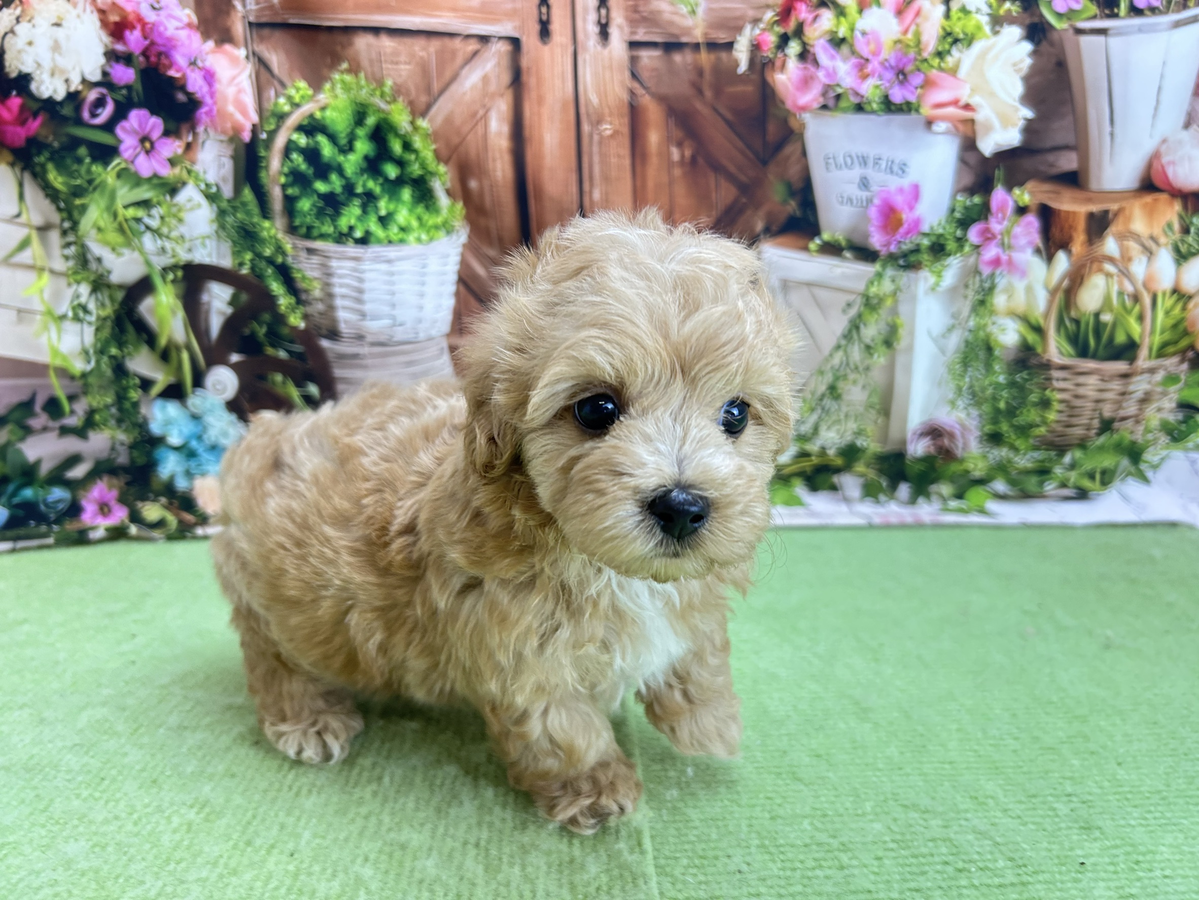 赤ちゃん写真2-2