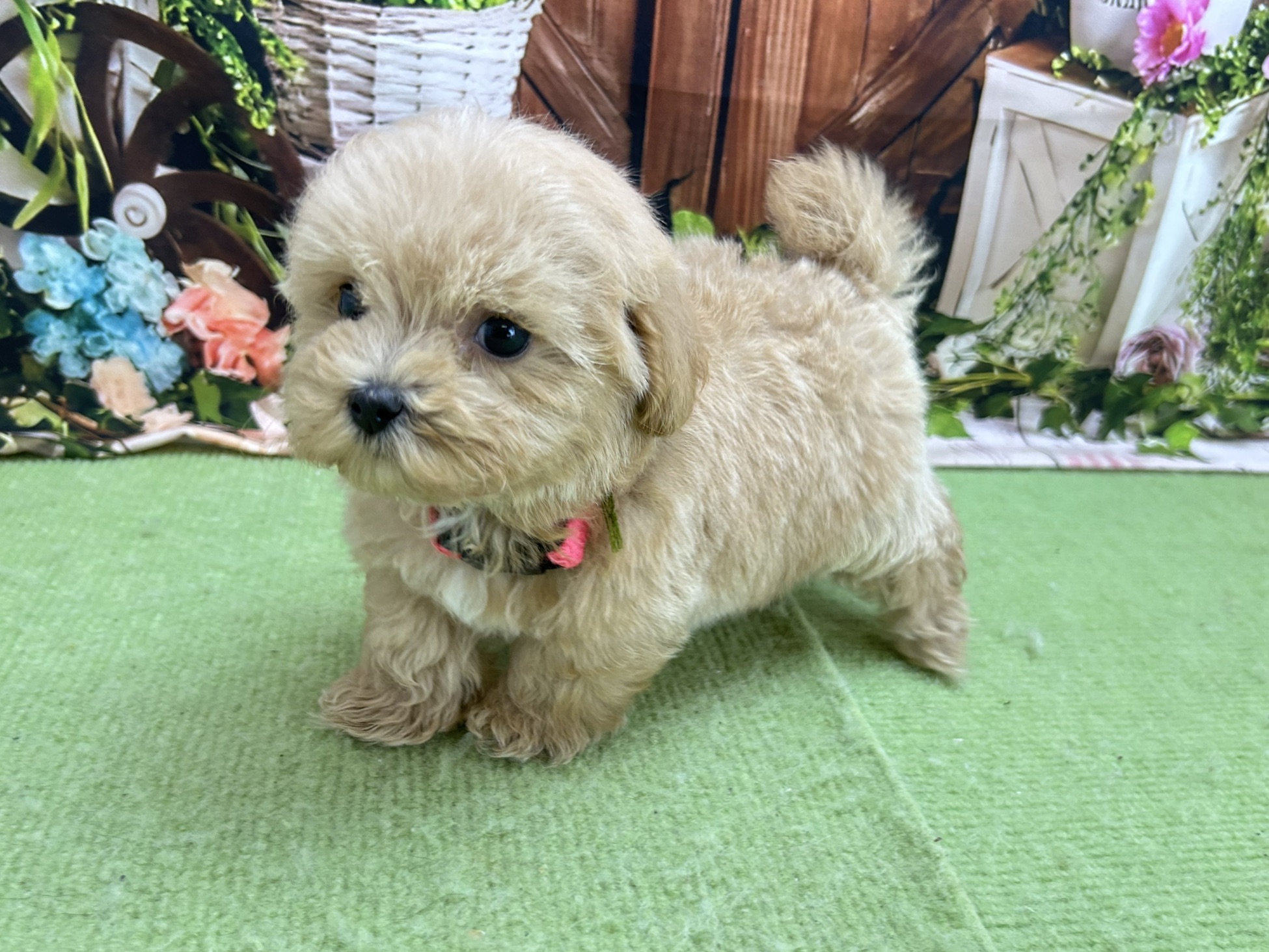 赤ちゃん写真3-2