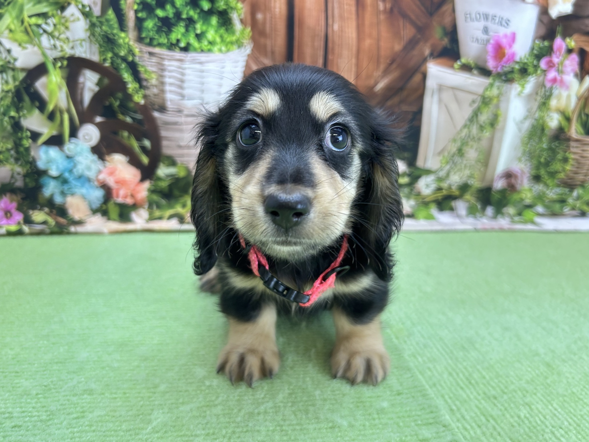 赤ちゃん写真3-1