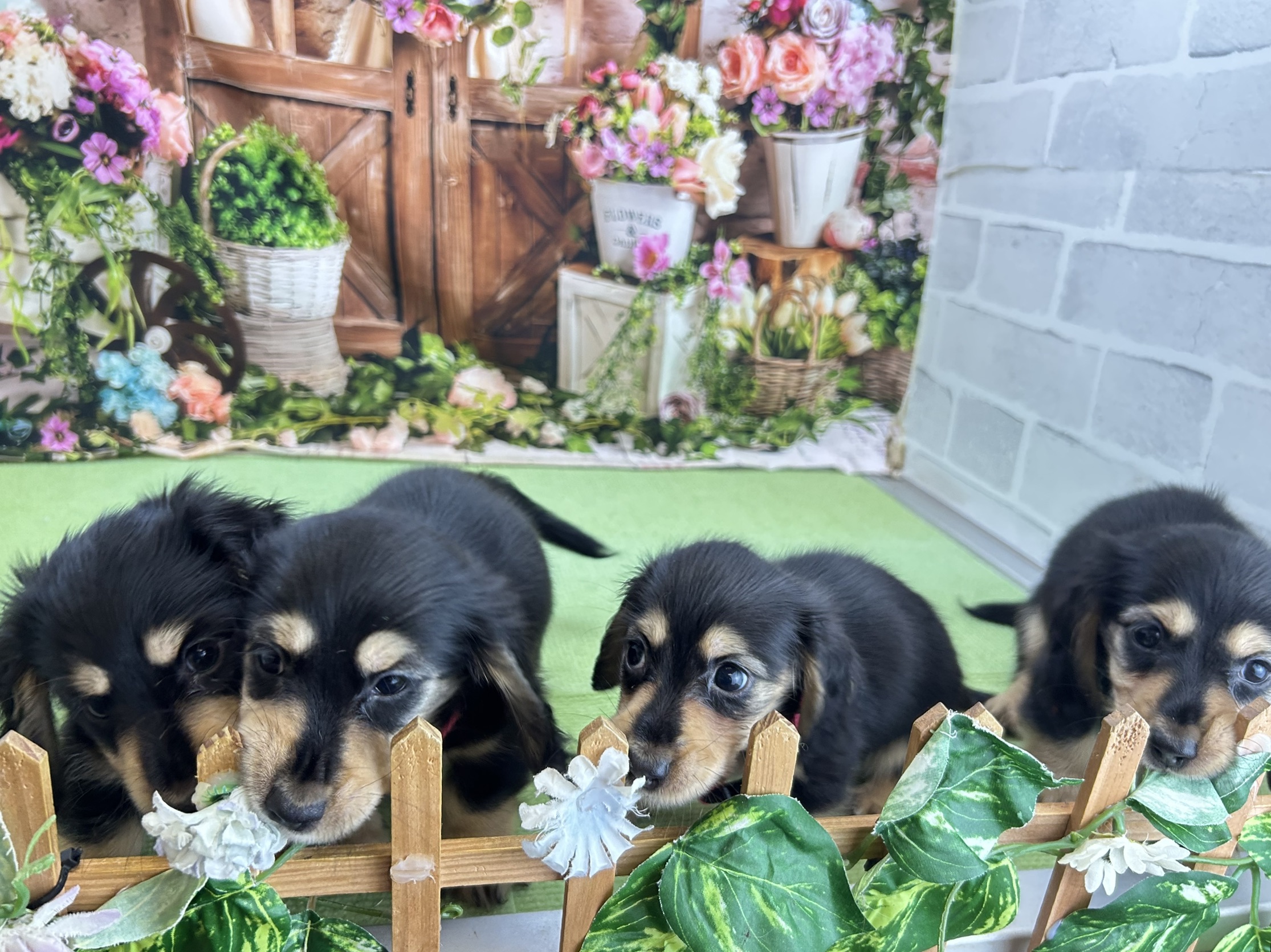 赤ちゃん写真3-3