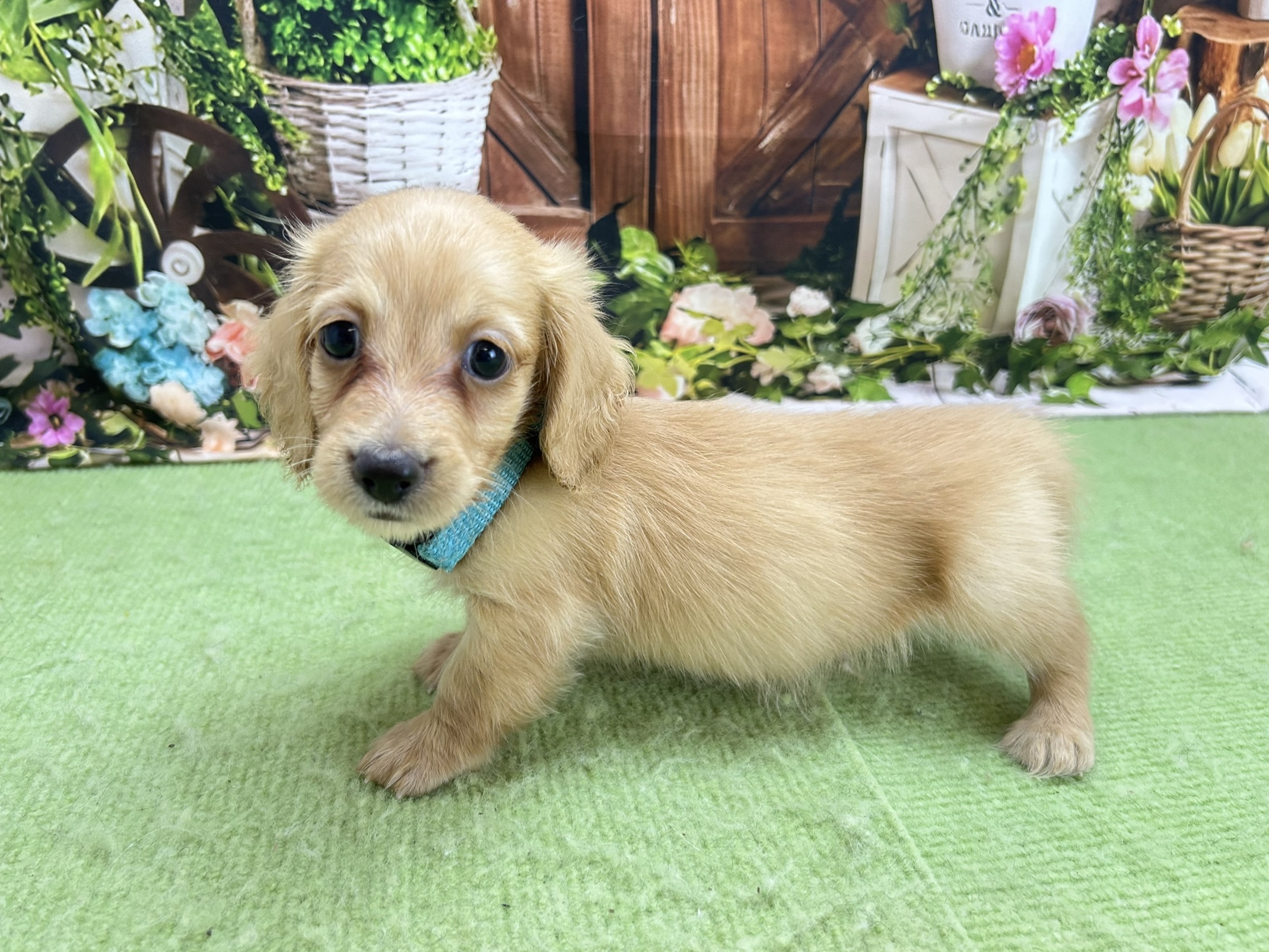赤ちゃん写真2-2