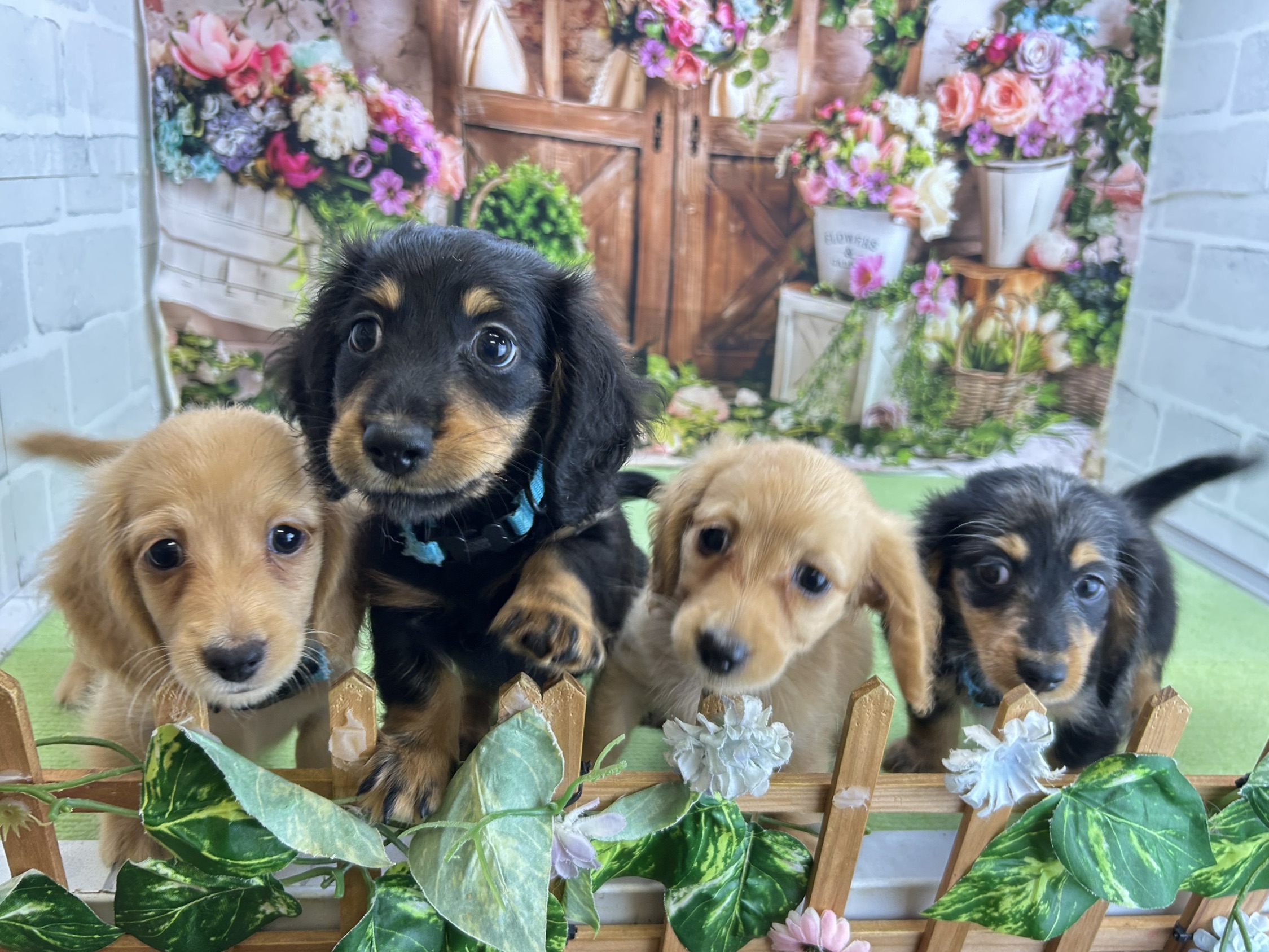 赤ちゃん写真3-3