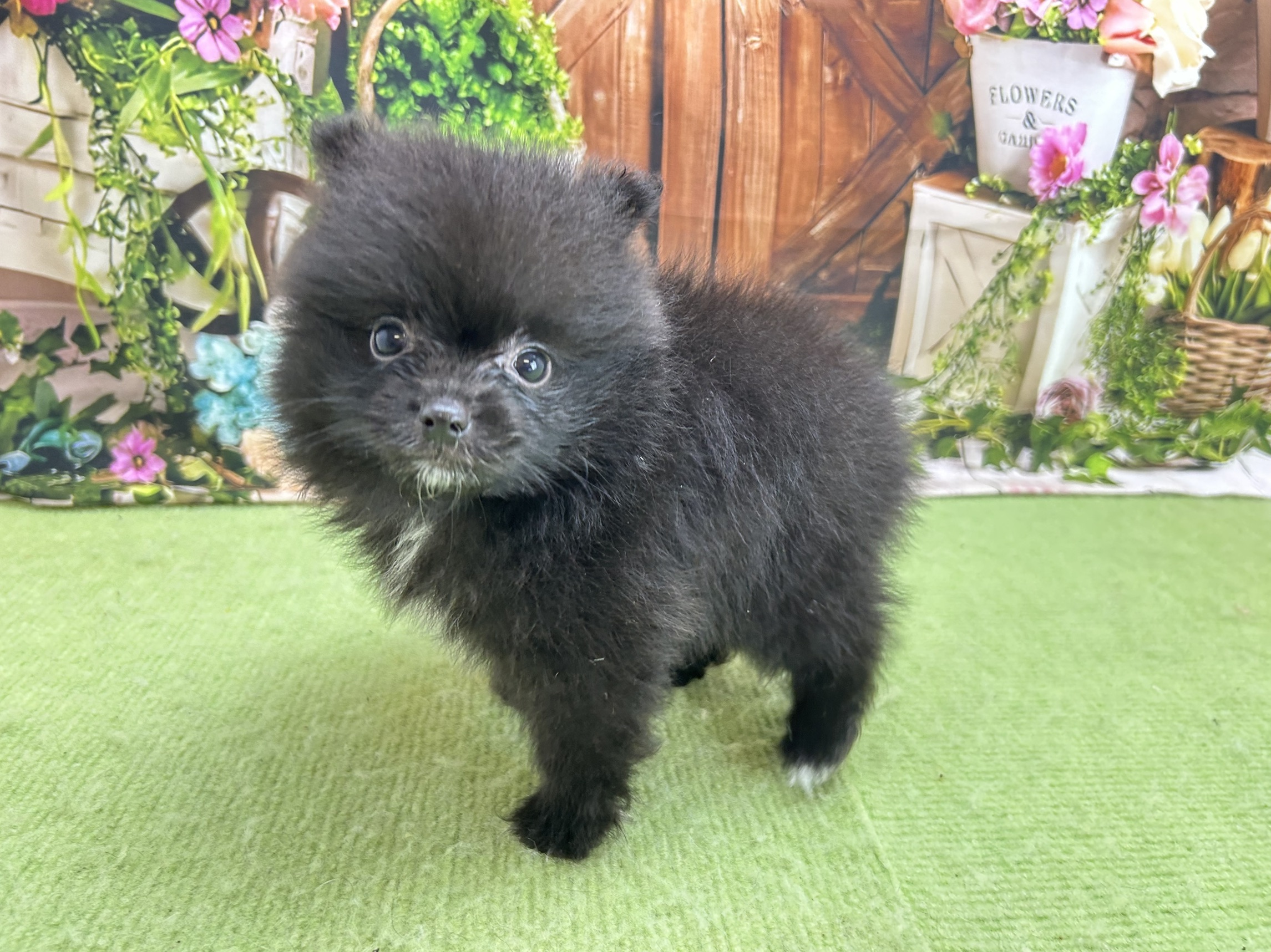 赤ちゃん写真2-2