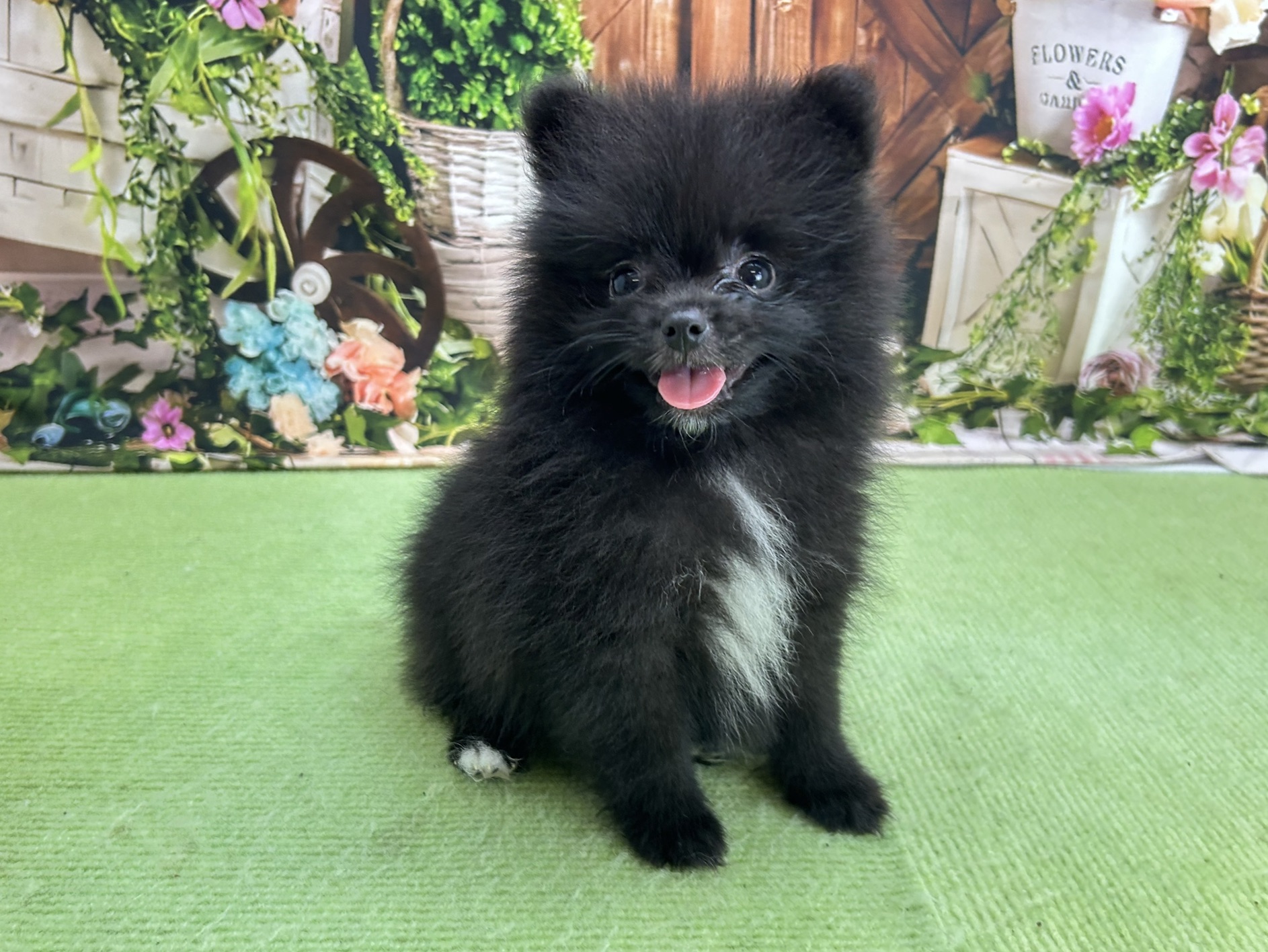 赤ちゃん写真3-2