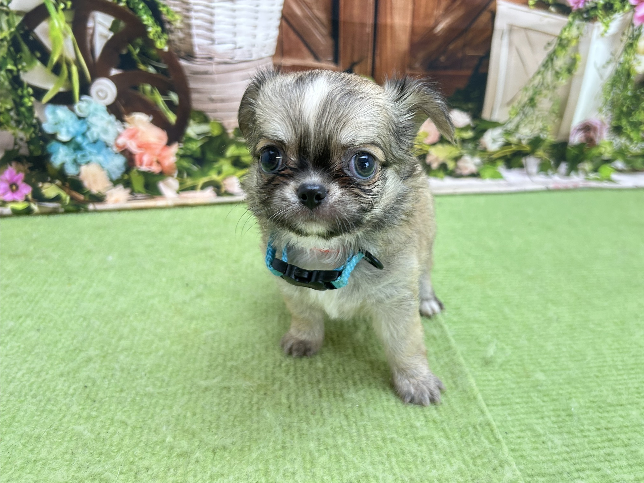 赤ちゃん写真2-1