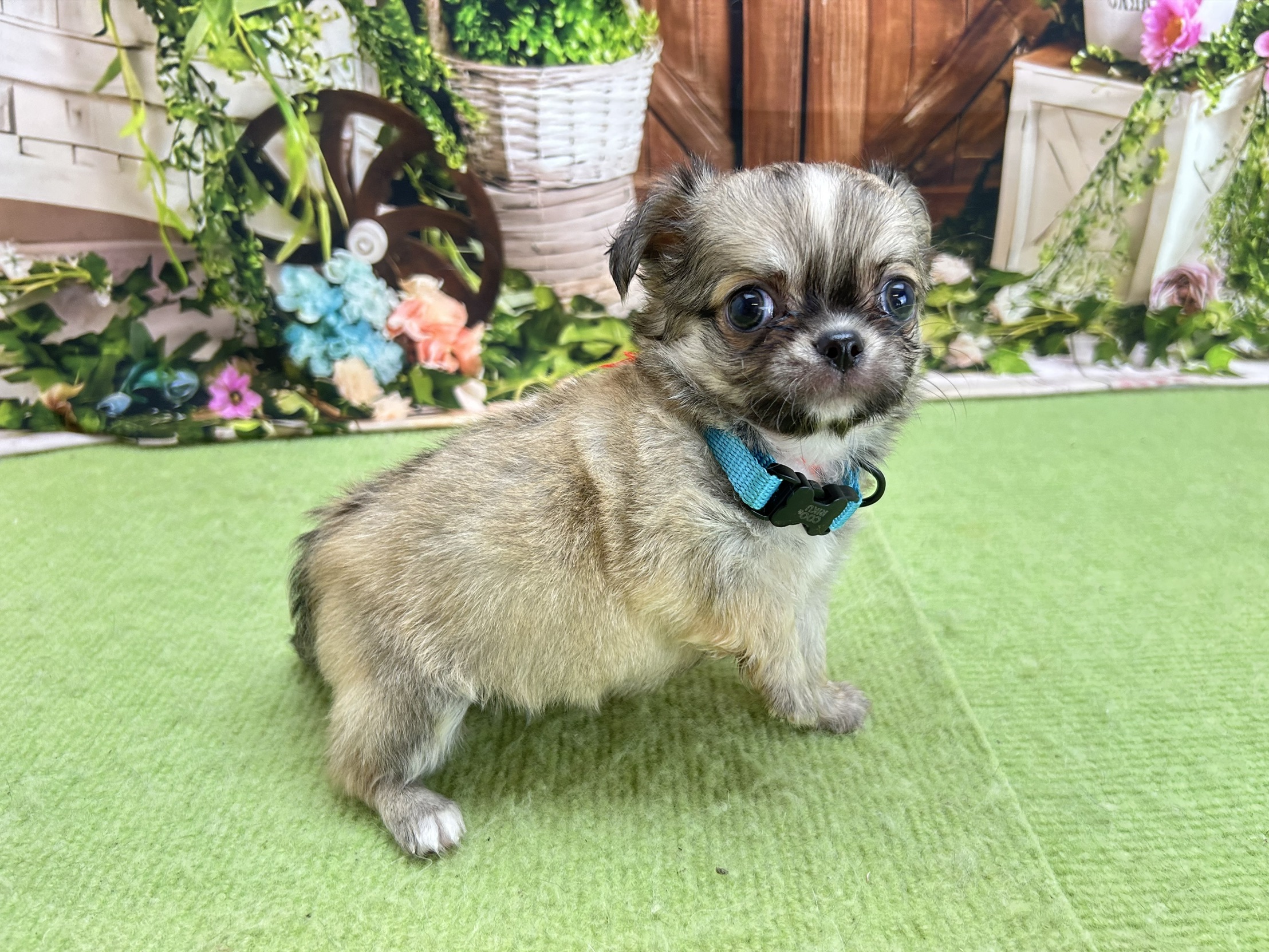 赤ちゃん写真2-2