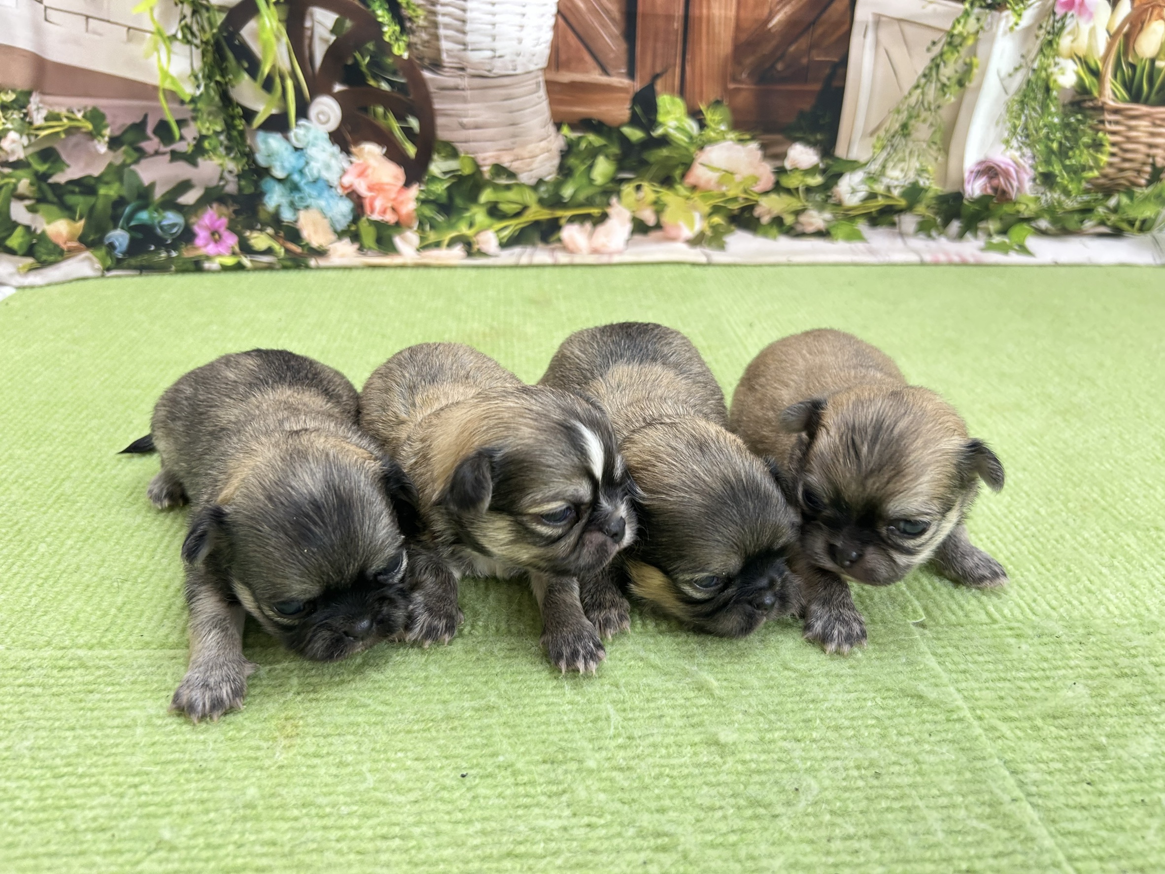 赤ちゃん写真1-3