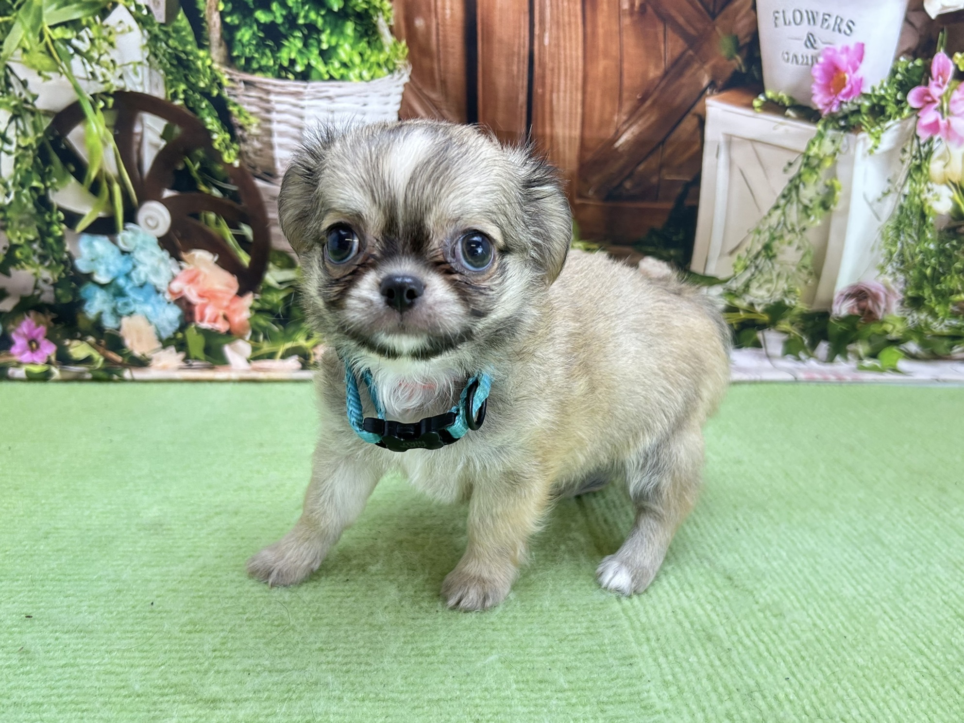 赤ちゃん写真3-1