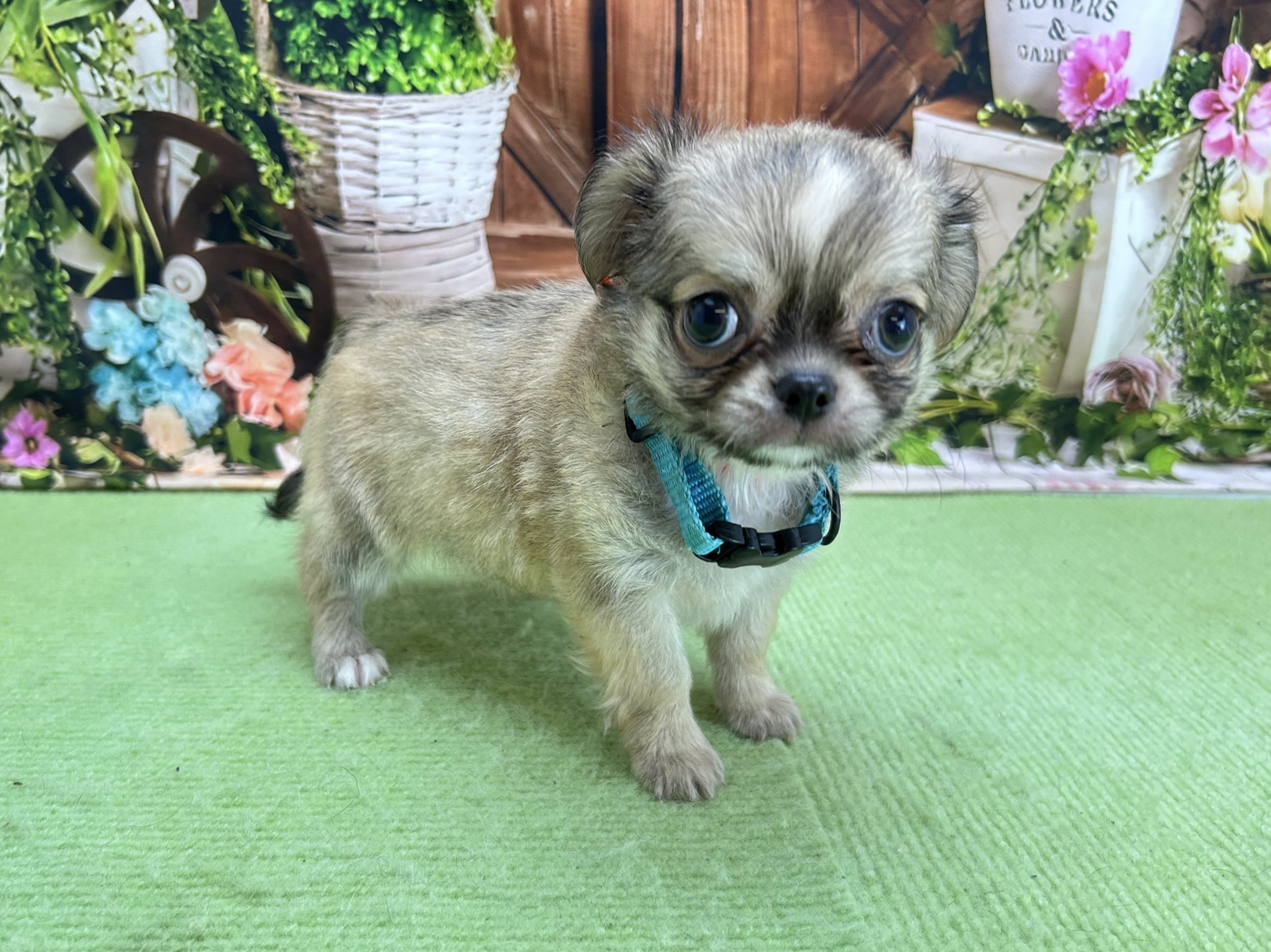 赤ちゃん写真3-2