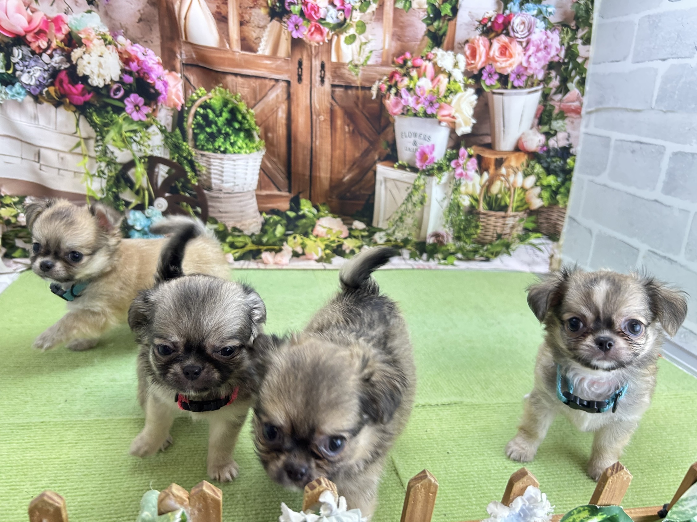 赤ちゃん写真3-3