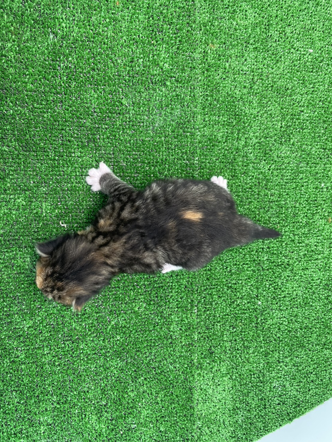 赤ちゃん写真1-3
