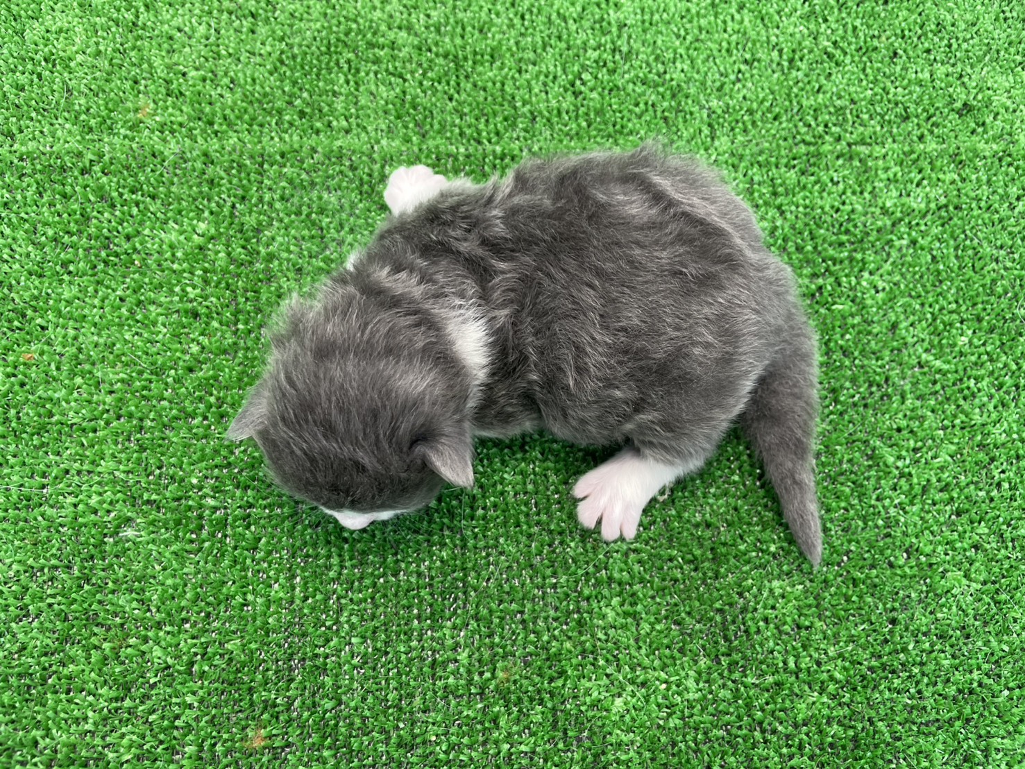 赤ちゃん写真1-3