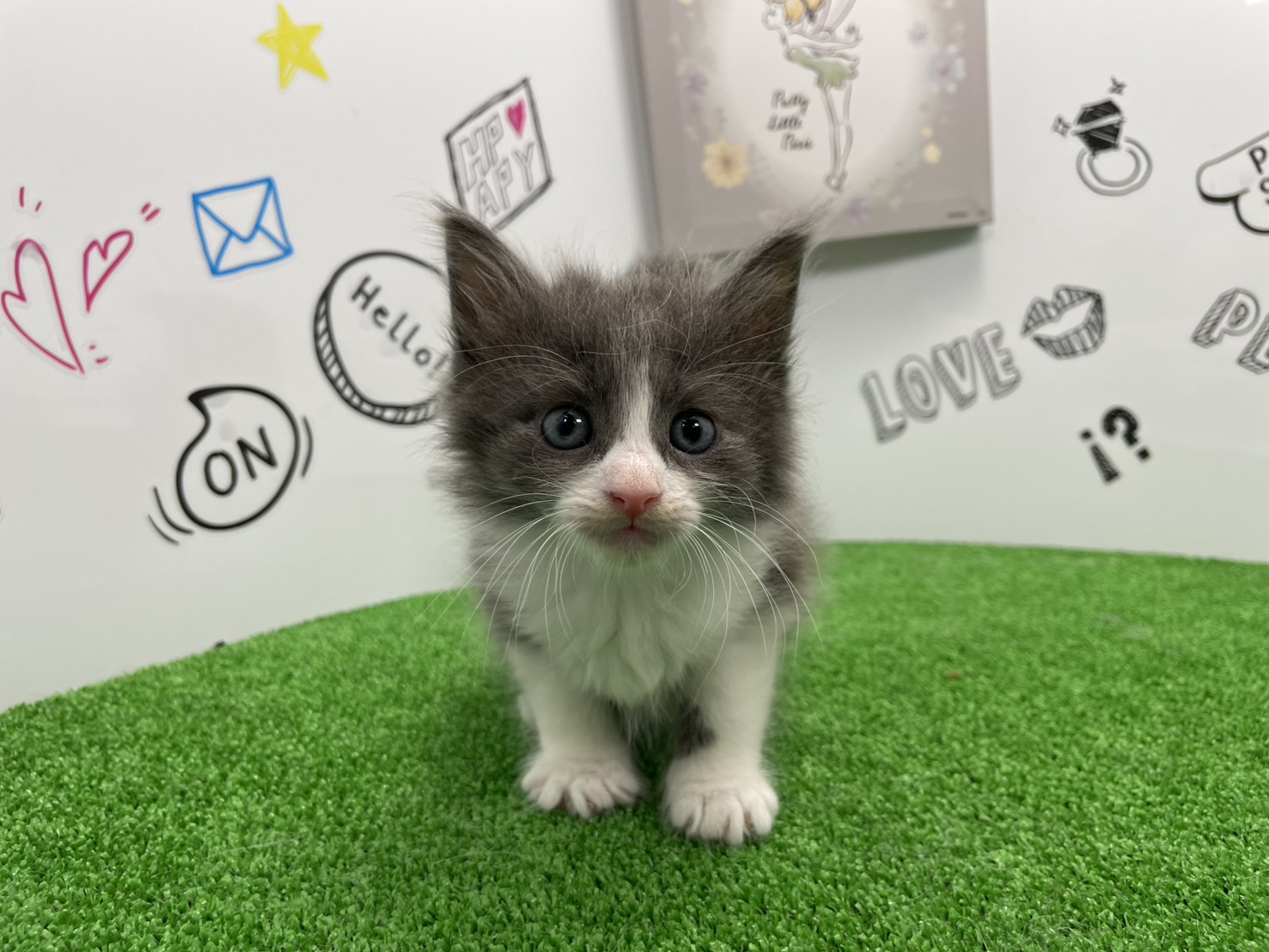 赤ちゃん写真2-1