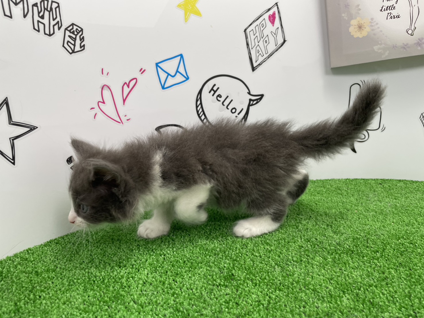 赤ちゃん写真2-2