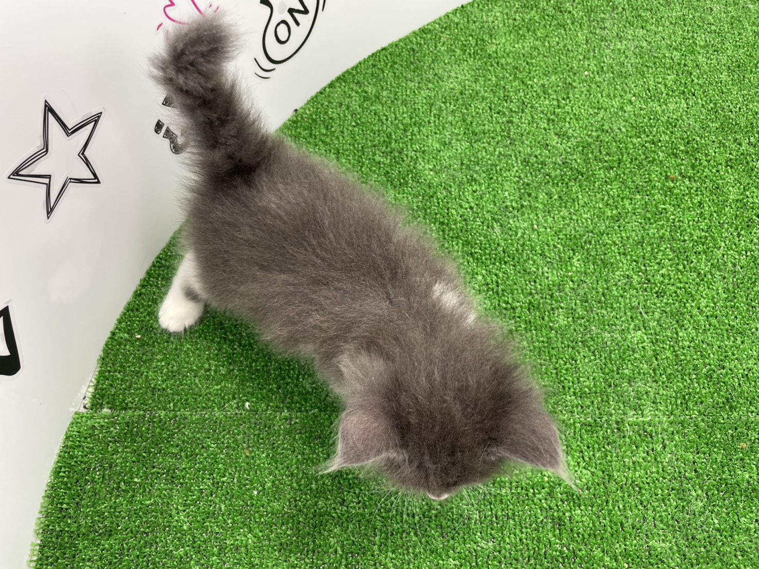 赤ちゃん写真2-3