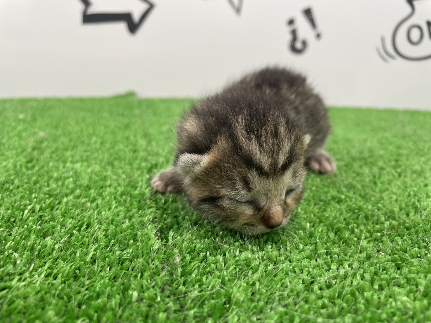 赤ちゃん写真1-1