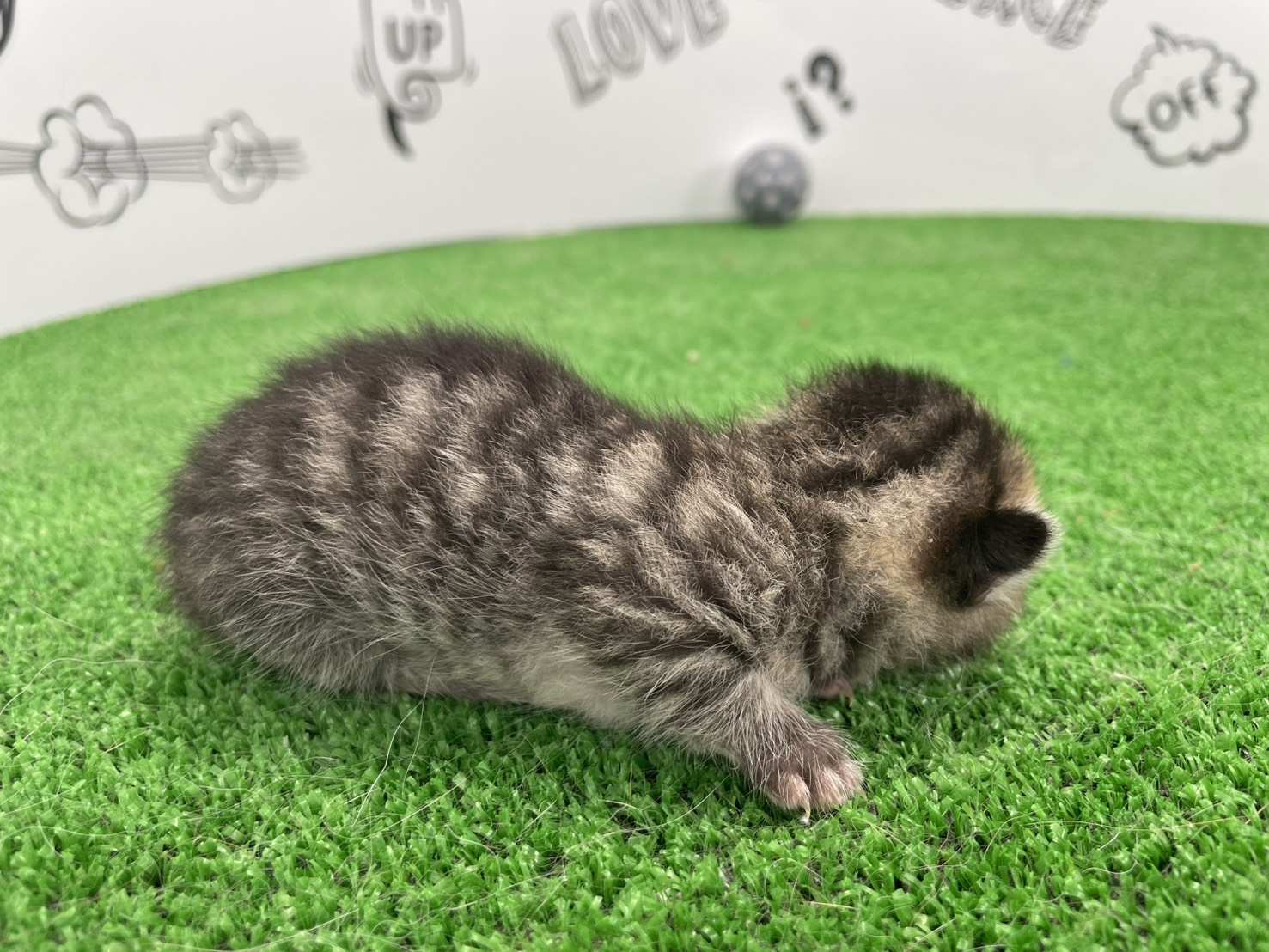 赤ちゃん写真1-2