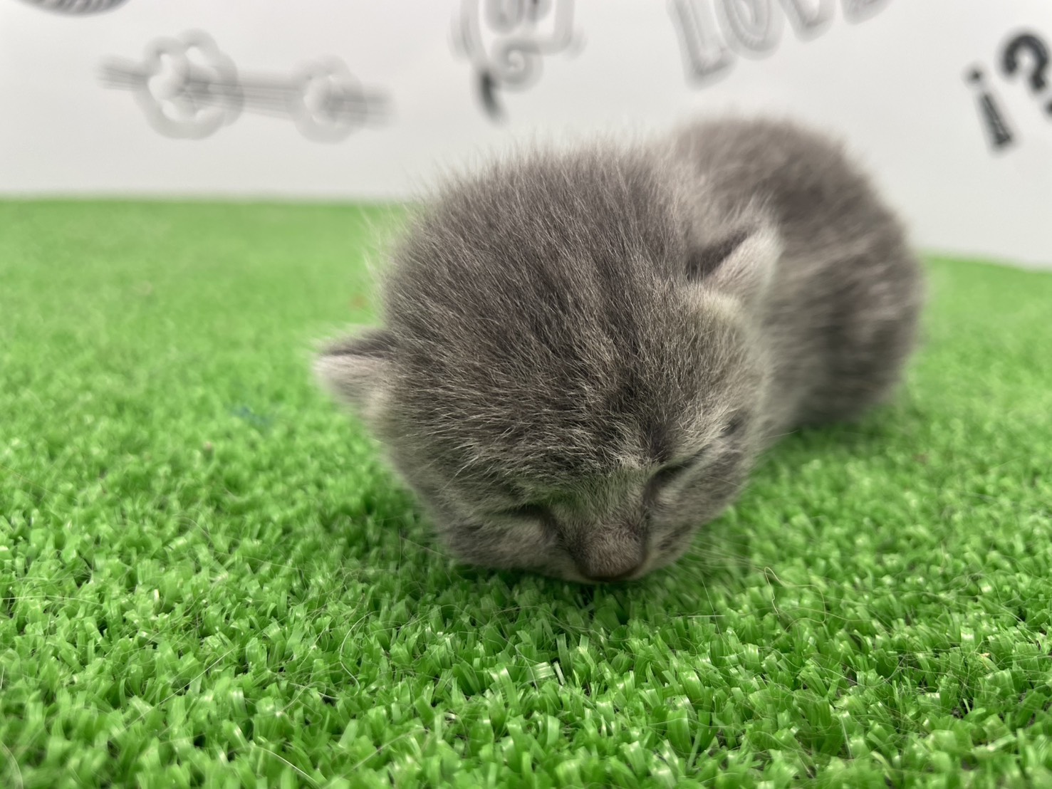 赤ちゃん写真1-1