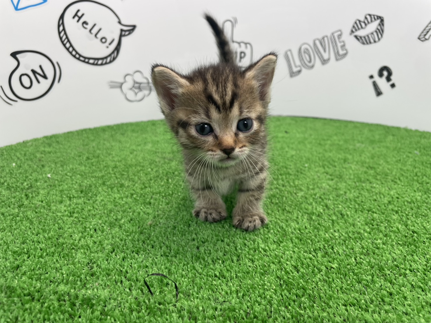 赤ちゃん写真2-1