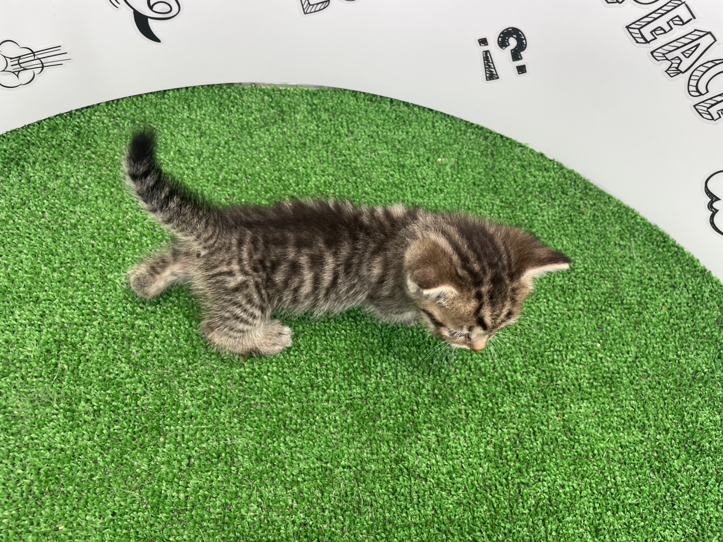 赤ちゃん写真2-3