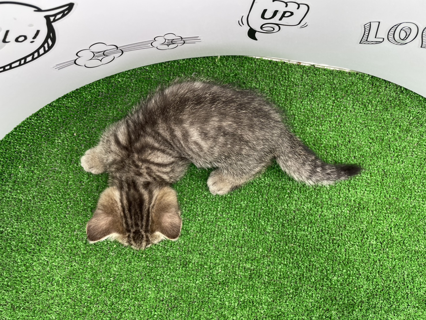 赤ちゃん写真3-3