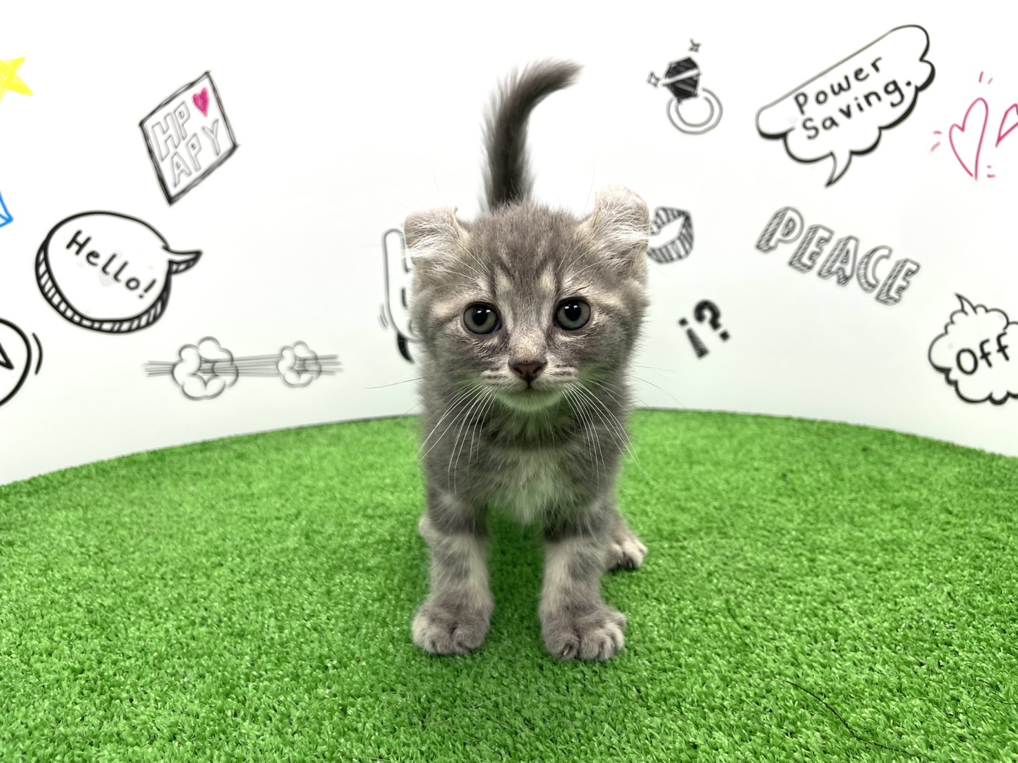 赤ちゃん写真3-1