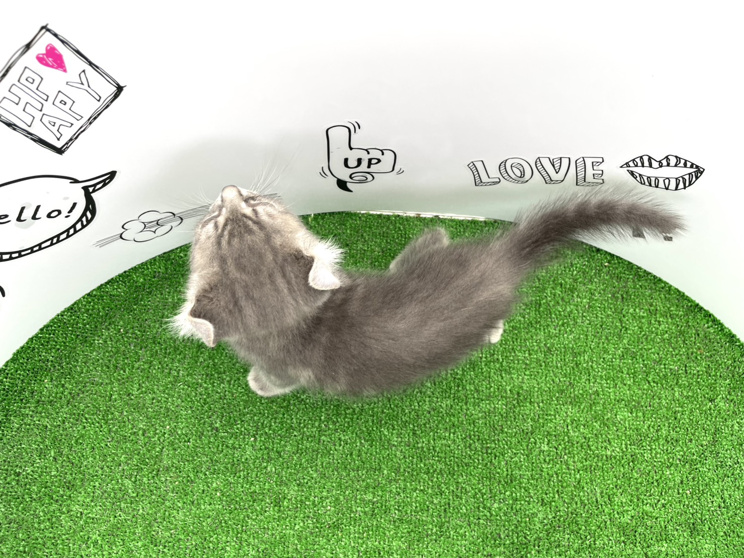 赤ちゃん写真3-3