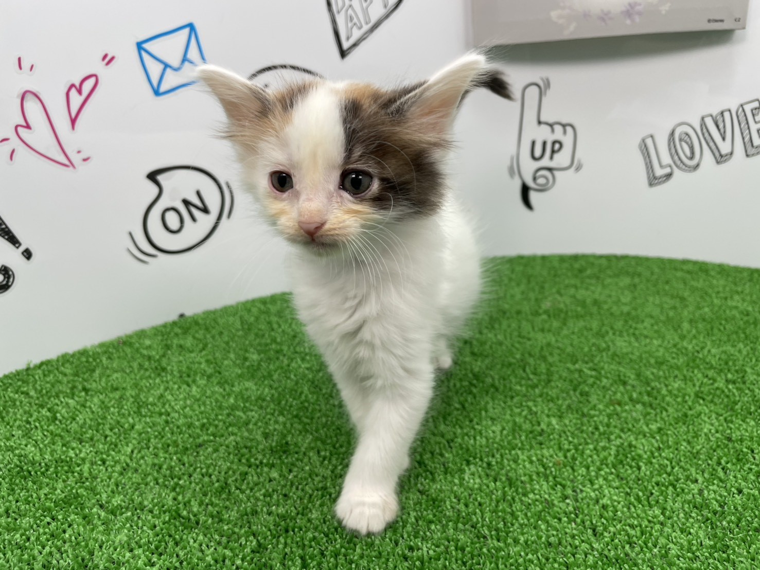 赤ちゃん写真2-1