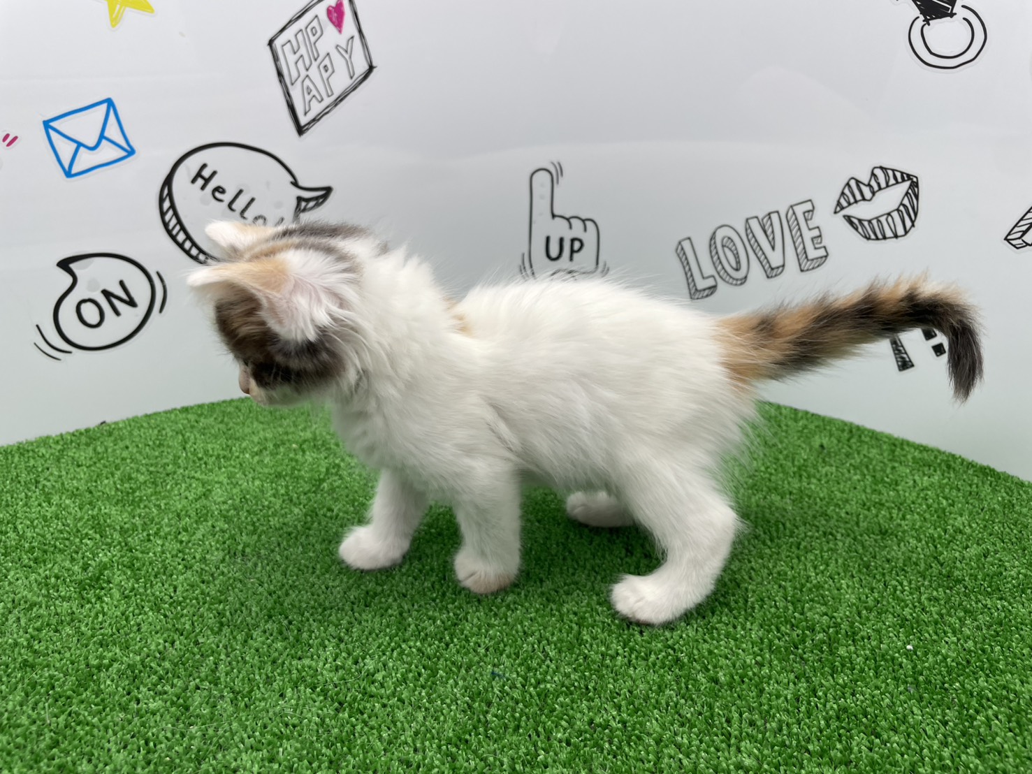 赤ちゃん写真3-2